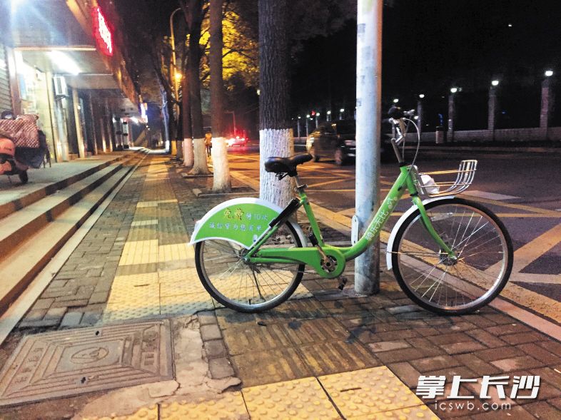 紫薇路附近,一輛使用完的共享單車停在盲道上。長沙晚報記者 朱炎皇 實習(xí)生 肖麗兵 攝影報道